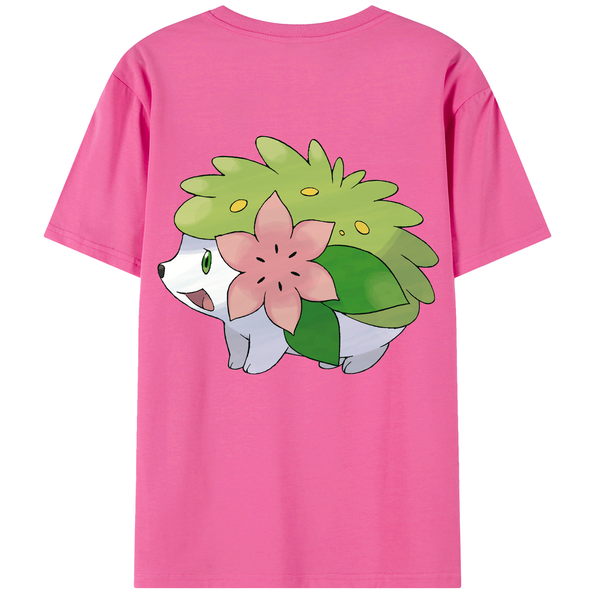 （画像用） ポケットモンスター Pokémon レディース半袖Tシャツ(バックプリント)
